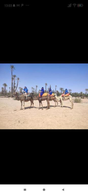 Dar Hiba *